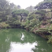雲林庭園造景 水池景觀
